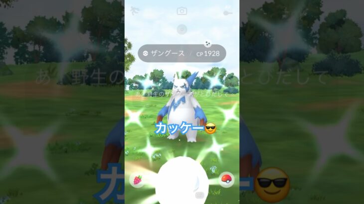 最近の色違い集✨#ポケモン #ポケモンgo #ポケモンgo色違い #色違いポケモン  #pokemongo #pokemon