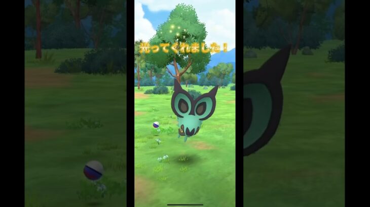 はがねとうろこイベント中#ポケモン #ポケモンgo #pokemon #pokemongo #niantic #色違い #はがねとうろこ#タツベイ#オンバット