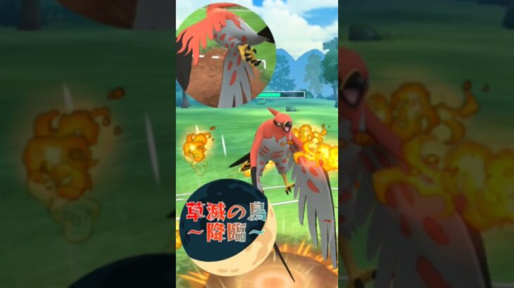 ファイアロー降臨#ポケモンgo #ポケモン#pokemongo #ゴーバトルリーグ