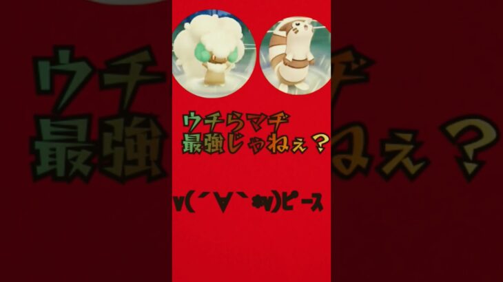 オオタチ＆エルフーンによる陽光カップ#ポケモンgo #ポケモン #pokemongo #ゴーバトルリーグ#陽光カップ#オオタチ#エルフーン