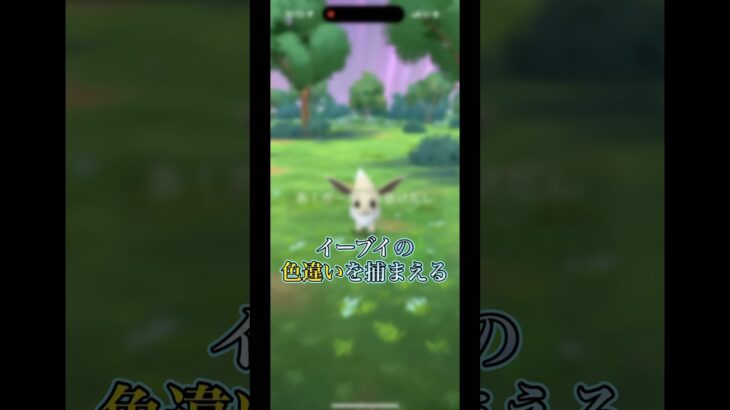 ゾロアが新しい姿になって帰ってきた､､､#ポケモンgo #pokmongo #shorts