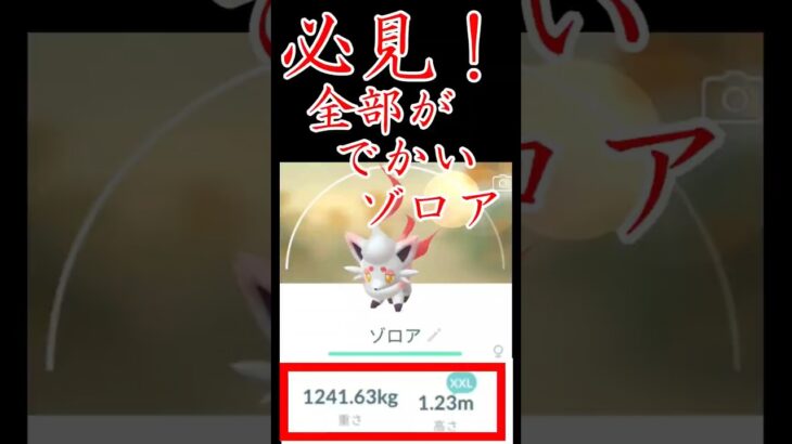 全部でかいゾロア#ポケモンgo #shoot #裏技#ヒスイゾロア#ポケGOPlus+#shoots#あねす