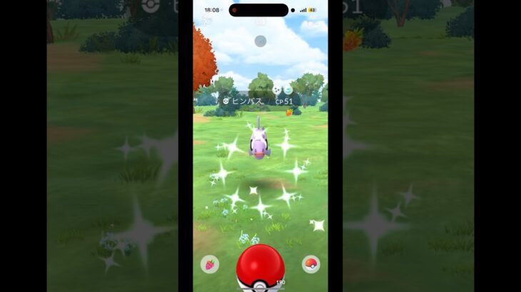 色違いヒンバスが欲しい！！#ポケモン #ポケモンgo #色違いポケモン #スポットライトアワー #ヒンバス#キラ交換#ザシアン#shorts