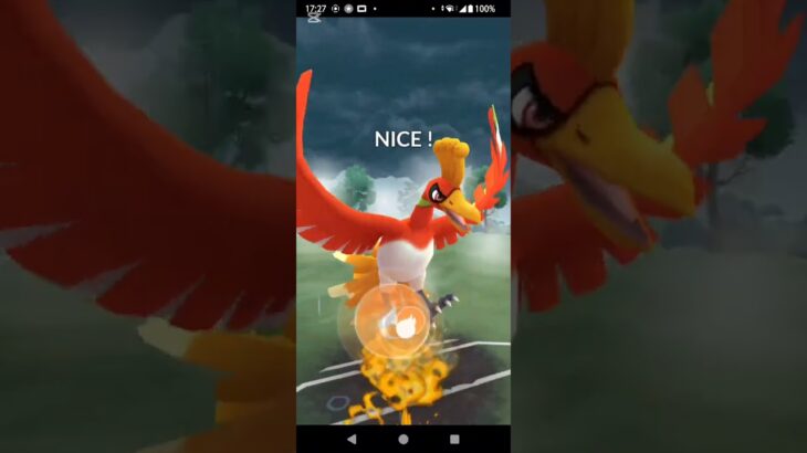 マスターリーグでザシアンとホウオウが大活躍！？#ポケモンgo#gbl