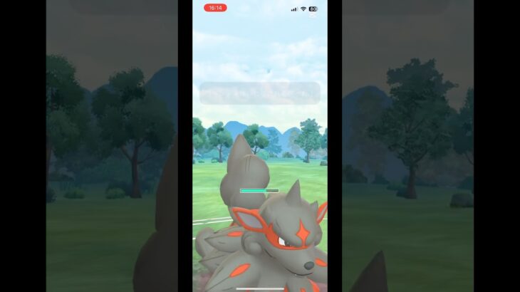 ポケモンgoのリーグ戦！夏バテ〜#ポケモンgo #ポケモン