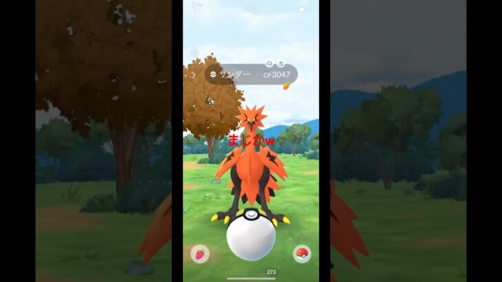 ［ポケモンＧＯ］ガラサンきたわ［ポケモン］#ポケモンＧＯ#poemon #pokemongo #とんかつポケモン