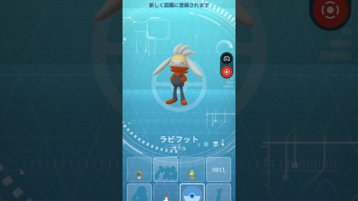 ラビフット🐰　#pokemongo #Pokemon#ポケモンgo #ポケモン #ラビフット#進化形#ウサギ#うさぎ#🐰#ガラル