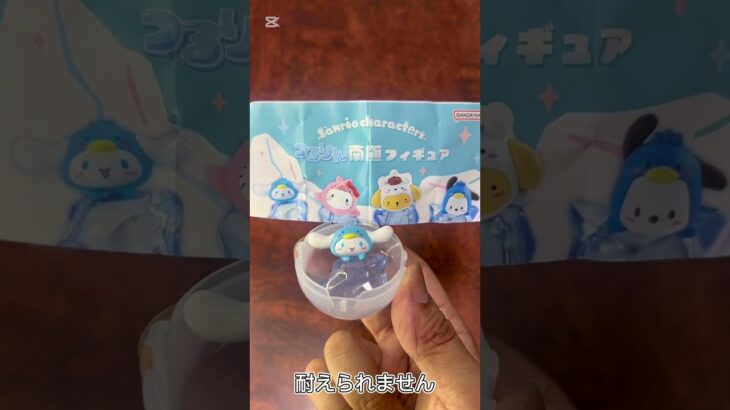 【ガチャ替え歌】サンリオファミリーで南極にいってきたよ＃shorts