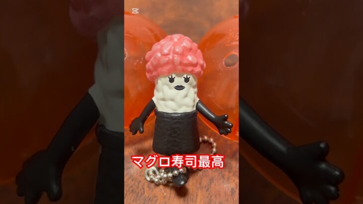 【ガチャ替え歌】マグロの熟成寿司は最高に楽しいね＃shorts