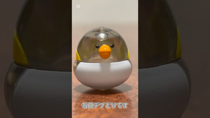 【ガチャ替え歌】毎日デブどりのように暑い日はダラダラしたいよね＃shorts
