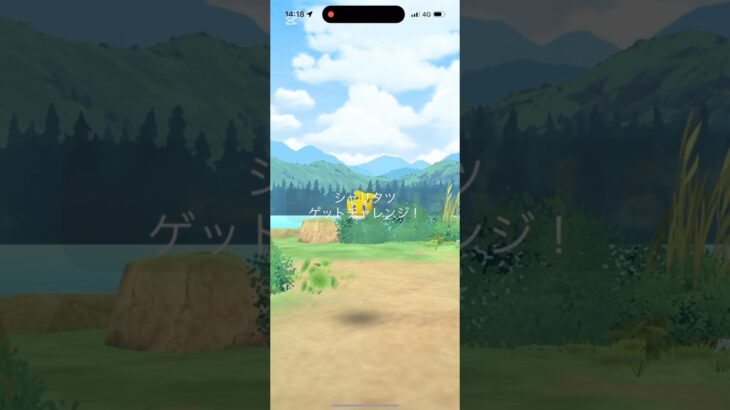 新実装シャリタツを初日から入手！#shorts #pokemongo #pokemon #ポケモンgo #ポケモン