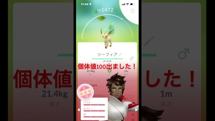 個体値100出ました！嬉しい！#ポケモンGO