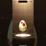 色違いヤトウモリを狙え12連②2025.8.14#ポケモンgo #色違い#エンニュート