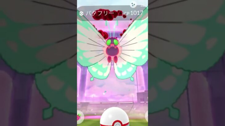 2戦でこんなことある！？ #ポケモン #ポケモンgo  #ポケモンgo色違い