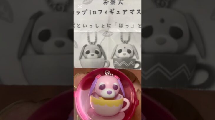 【ガチャ替え歌2】みんなお茶犬に癒やしもらおうよ＃shorts
