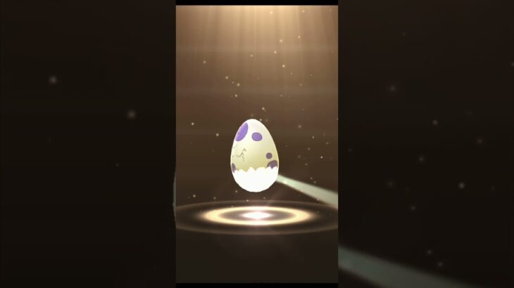 タマゴガチャパート7 #ポケモンgo #ポケモン #レジの部屋 #ドラメシヤ#ドラパルト