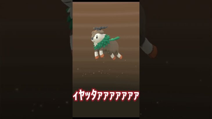 タマゴガチャパート9#ポケモン #ポケモンgo #レジの部屋 #タマゴガチャ#メェークル#goフェス