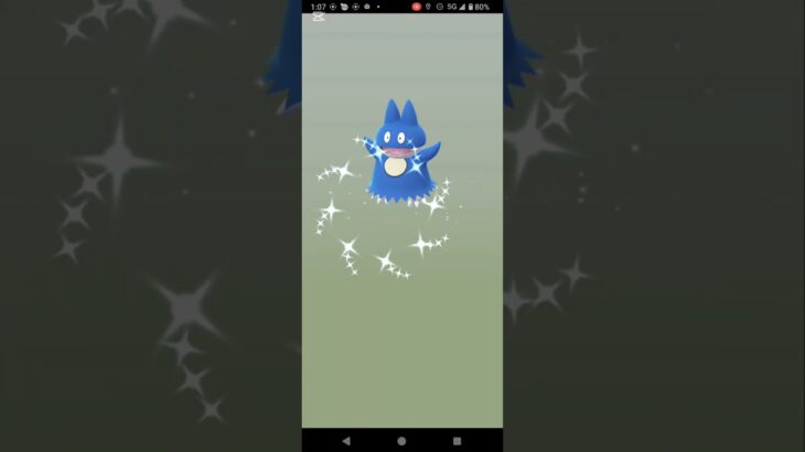 ゴンベ孵化の日91連割り　#ポケモンGO