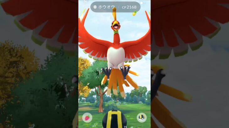 GBL報酬からホウオウ！【ポケモンGO】