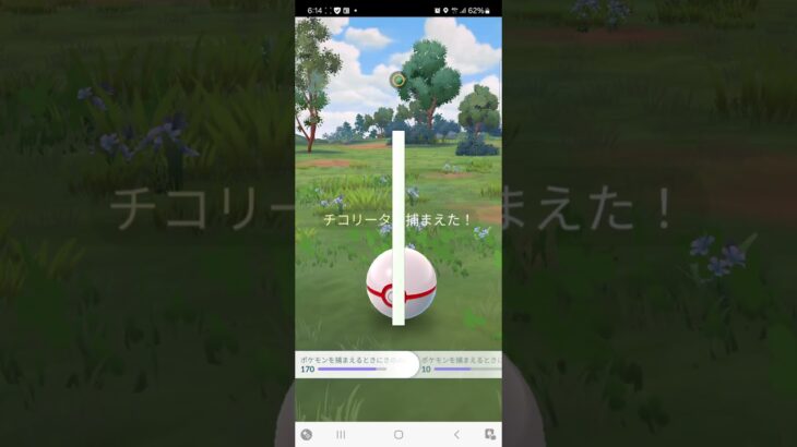 アルロからカワイイ色違いチコリータGET❗❗#ポケモンgo #shorts