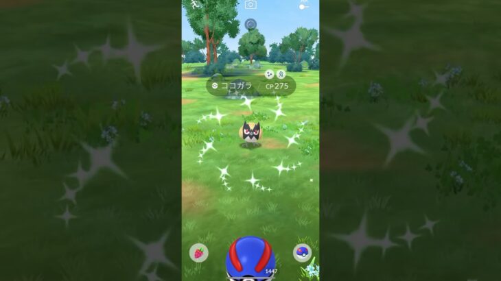 【ポケモンGO】 ココガラ（色違い） 捕獲動画！！