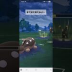ポケモンGO 通常ハイパーリーグ エクレア、ゲッコウガ、サーフゴー