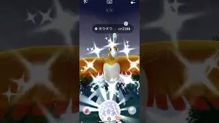 【ポケモンGO】 ホウオウ（色違い） 捕獲動画！！