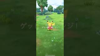 【ポケモンGO】 ピカチュウ（スタジャン・通常色） 捕獲動画！！