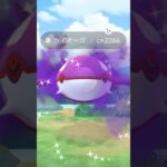 シャドウ色違いカイオーガ皆んなゲットできた？？#ポケモンGO #色違いカイオーガ　#シャドウカイオーガ