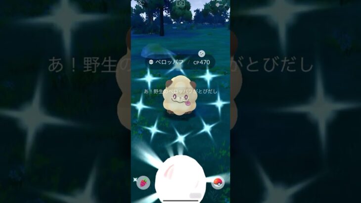 【ポケモンGO】 ペロッパフ（色違い） 捕獲動画！！