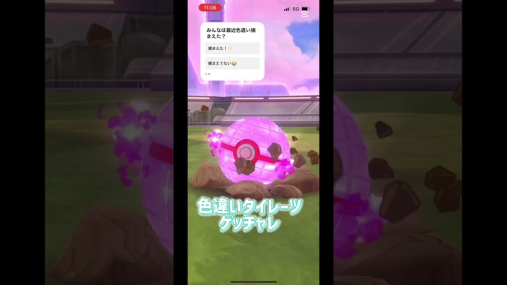 色違いタイレーツゲッチャレ#ポケモンGO#色違い#ポケモン#色違い #ゲッチャレ