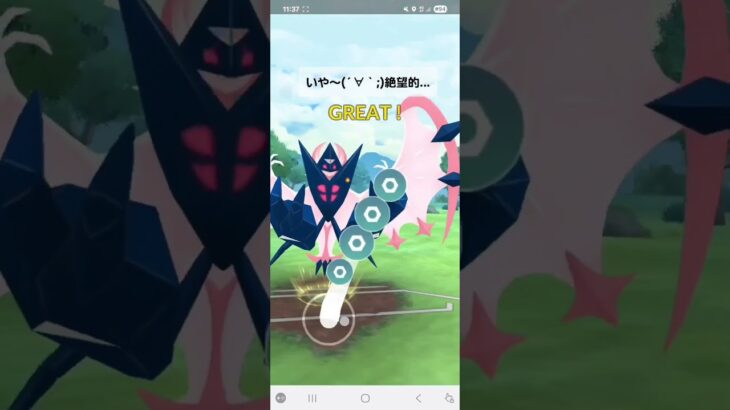 ポケモンGO 通常マスターリーグ ザシアン(剣の王)、ホウオウ、色ネクロズマ(あかつき)