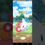 マスターリーグ【ポケモンGO】カイオーガ、トゲキッス、ザシアン（剣の王）