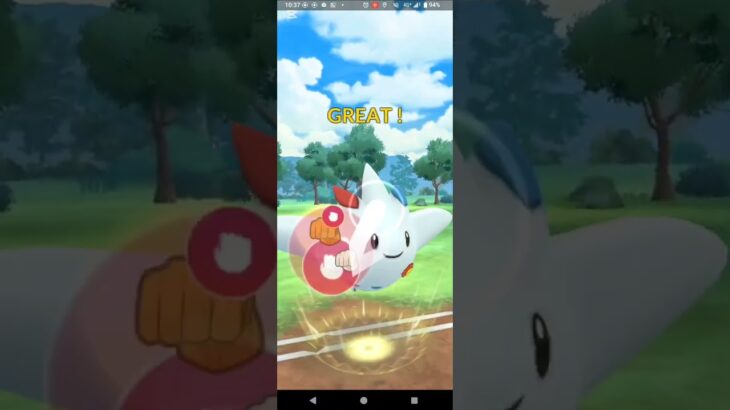 マスターリーグ【ポケモンGO】カイオーガ、トゲキッス、ザシアン（剣の王）