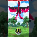 [ポケモンGO]ガラルファイヤー！！