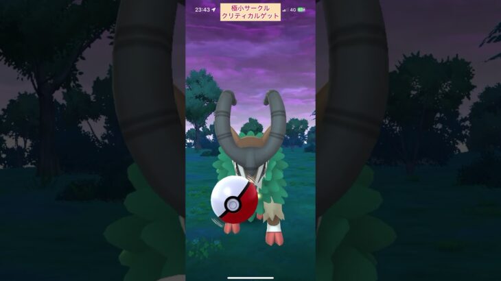 【難易度低】ゴーゴート極小サークルクリティカルゲット【ポケモンGO】
