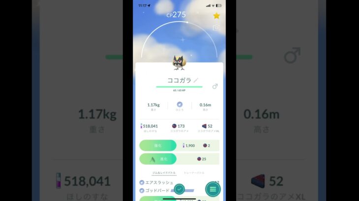 ポケモンGOしたらココガラの色違いを捕まえました。よかったらチャンネル登録高評価コメントよろしくお願いします。