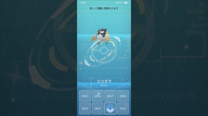 ココガラコミュニティデイ色違い成果！【ポケモンGO】