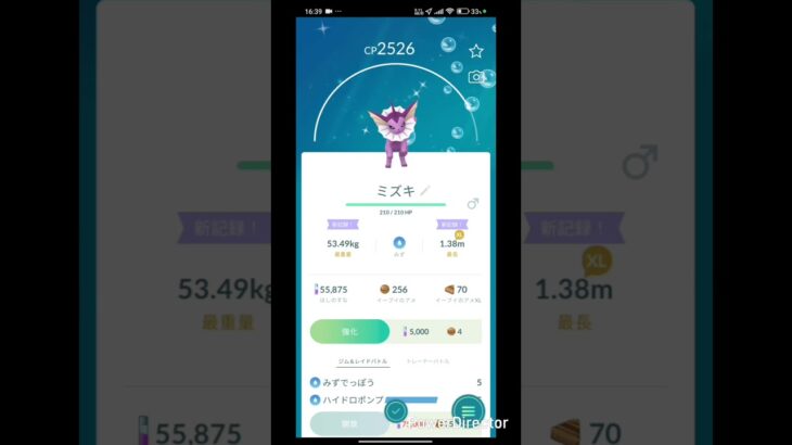 色違いイーブイの進化が可愛すぎる#ポケモンGO#ポケモン#イーブイ#進化#ブイズ#コミュニティデイ#ポケポケ#ポケットモンスター