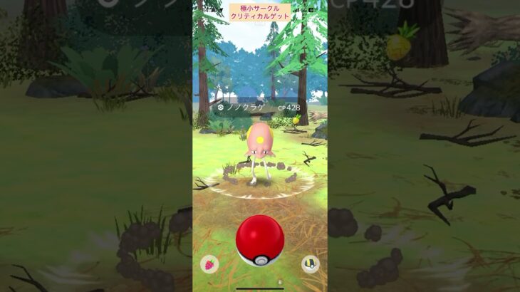 【難易度低】ノノクラゲ極小サークルクリティカルゲット【ポケモンGO】
