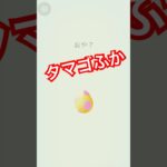 色々タマゴふか　ポケモンGO