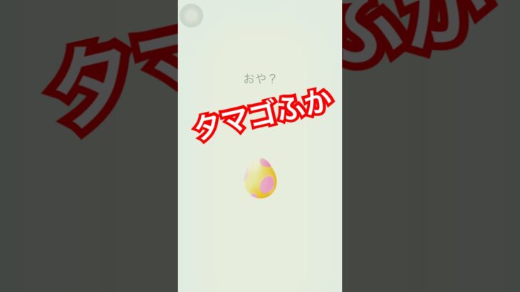 色々タマゴふか　ポケモンGO