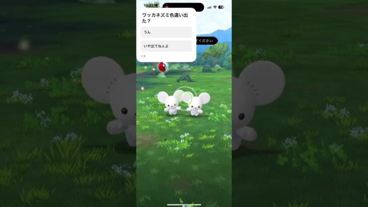 今日のリサーチ！　#ポケモンGO