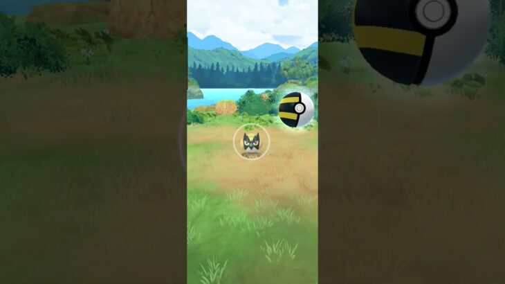 [ポケモンGO] ココガラ色違いGET！