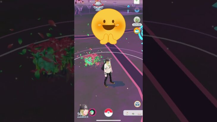 ポケモンGO  PokemonGo シェイミ　Shaymin  Cute  kawaii