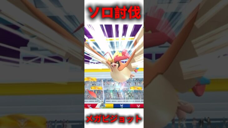 【ポケモンGO】メガピジョット　ソロ討伐　 #ポケモンgo #ポケモン