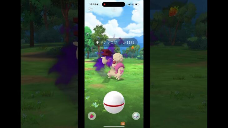ポケモンGO #ポケモンgo #シャドウ #ドテッコツ※音が無かったからサウンド入り