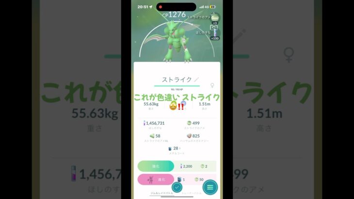 これが色違いストライク🤩‼️ ポケモンGO  白井球審　#色違い  #ポケモンgo  #ストライク  #白井球審
