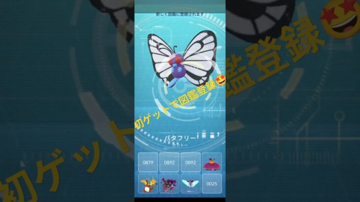 【ポケモンGO】キョダイマックスバタフリー 初バトルチャレンジ😎 #ポケモンgo #pokemongo #キョダイマックスバタフリー