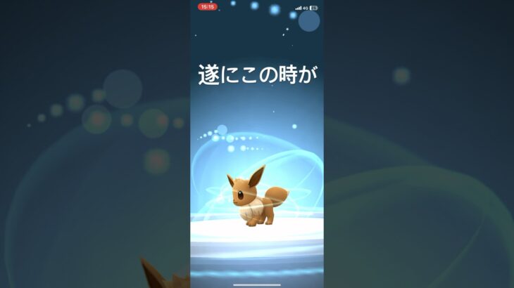 ポケモンGO イーブイどれに進化するかな。 #ポケモンgo #ポケモン #めざせポケモンマスター #pokemongo #pokemon